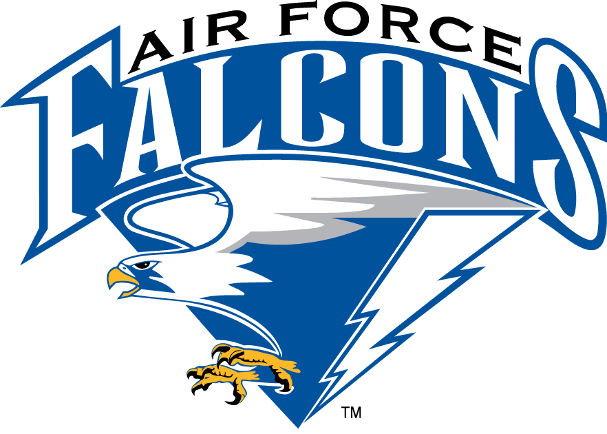 Air Force Falcons 1995-2003 Primary Logo diy fabric transfer